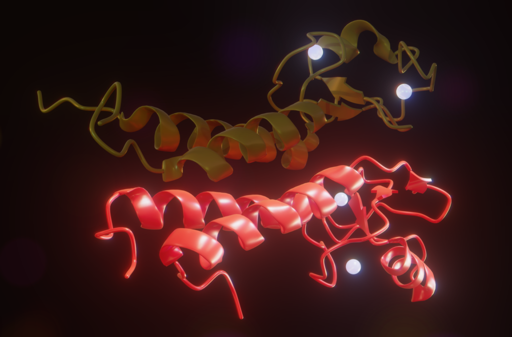BRCA1 proteininin üç boyutlu yapısını gösteren moleküler model
