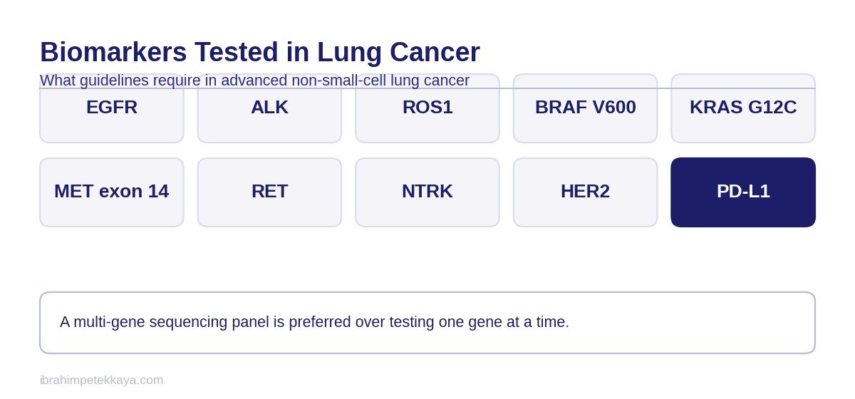 Diagram of the genes covered by biomarker testing in lung cancer