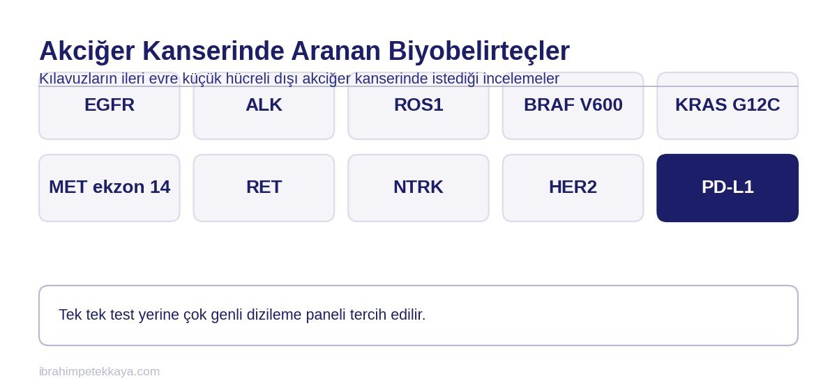 Akciğer kanserinde biyobelirteç testi kapsamındaki genleri gösteren şema