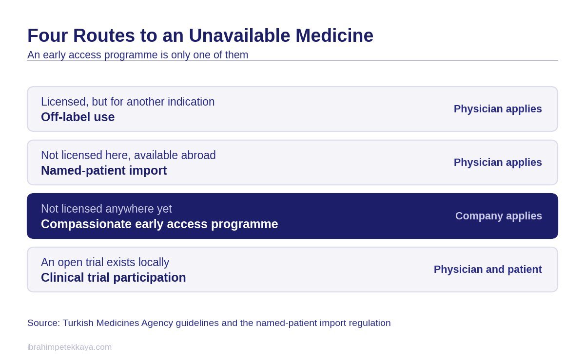 Table showing four routes to a medicine, including an early access programme
