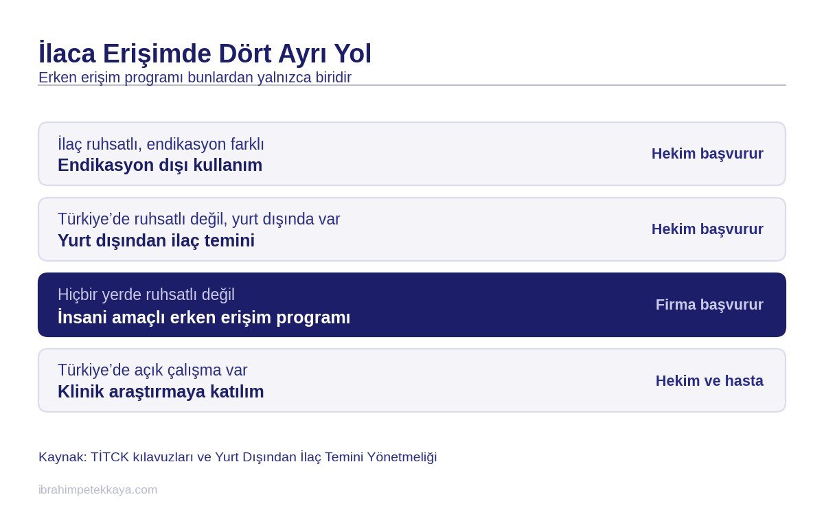 Erken erişim programı dahil ilaca erişimin dört yolunu gösteren tablo