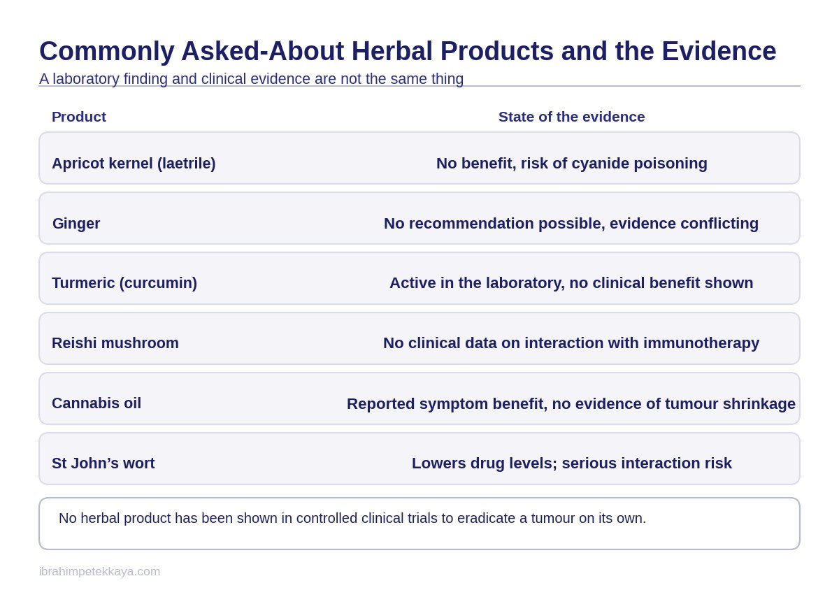 Table showing the level of evidence and the interaction risk for herbal supplements commonly used during cancer treatment