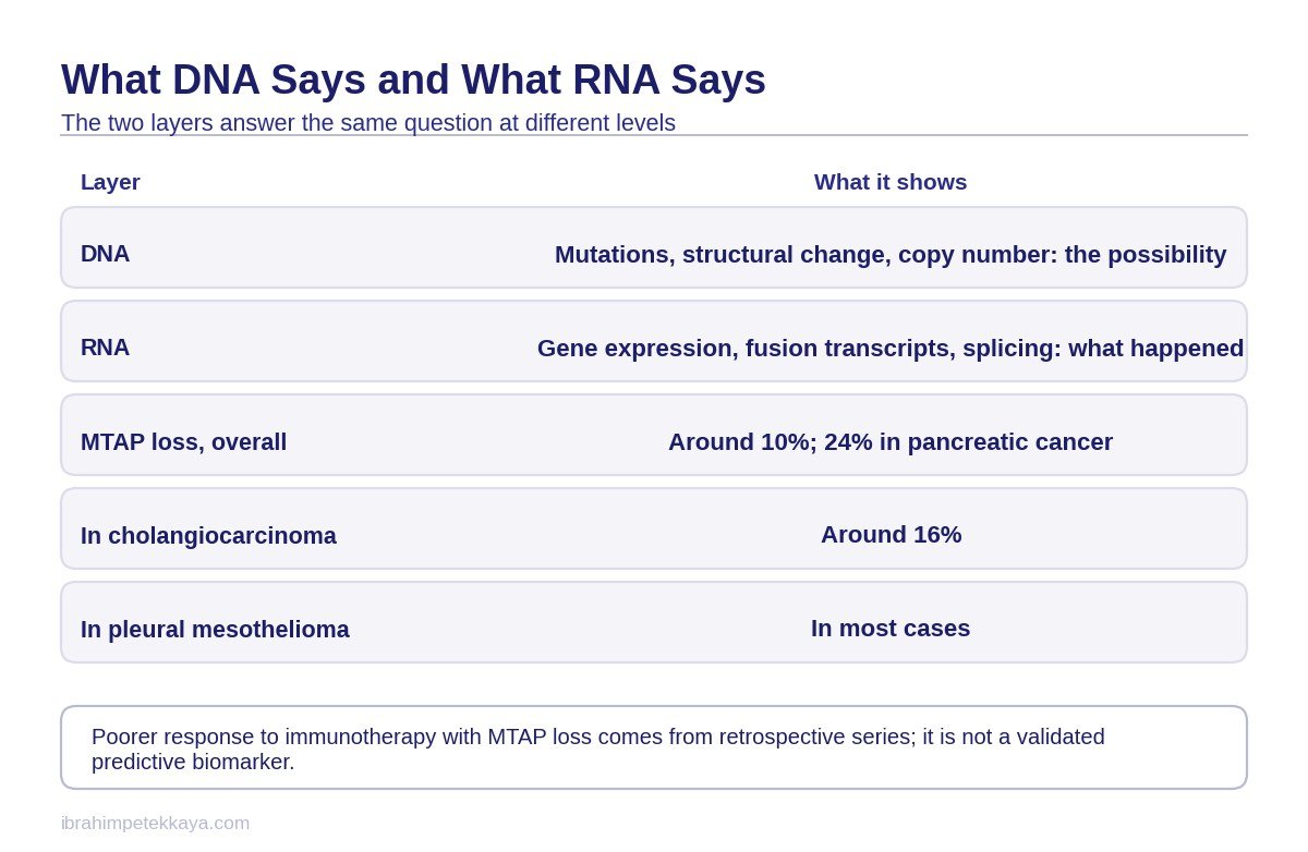Table comparing which changes RNA analysis of a tumour and DNA sequencing each show