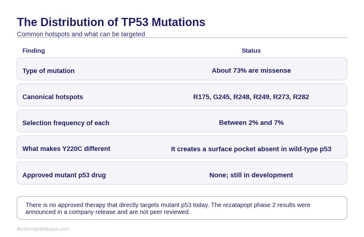 Diagram of the TP53 mutation hot spot codons and the structural feature of the Y220C change