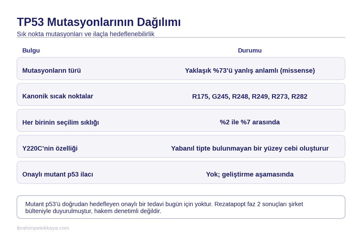 TP53 mutasyonu sıcak nokta kodonlarını ve Y220C değişikliğinin yapısal özelliğini gösteren şema