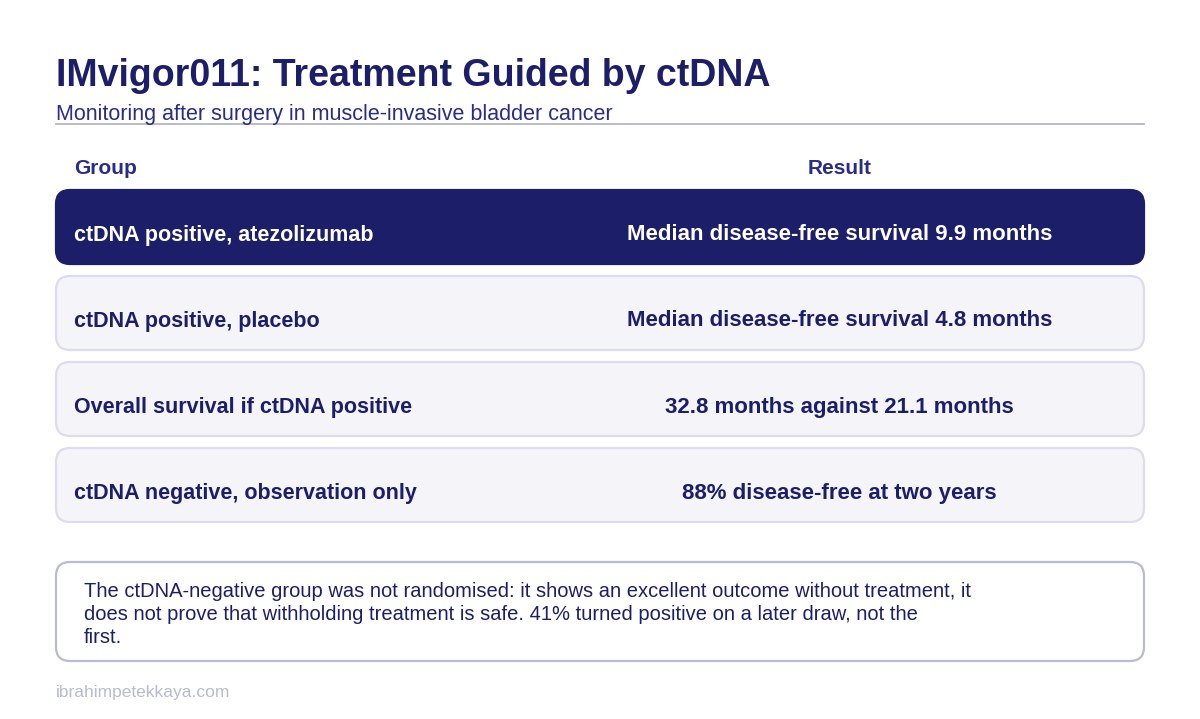 Table of survival outcomes in ctDNA-positive and ctDNA-negative patients after surgery for muscle-invasive bladder cancer