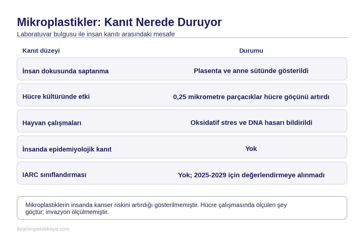 Mikroplastik ve kanser ilişkisine dair laboratuvar bulgularıyla insan verisi arasındaki farkı gösteren şema